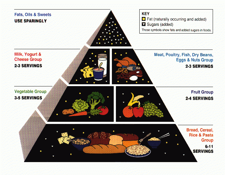 1992: Government introduces food pyramid